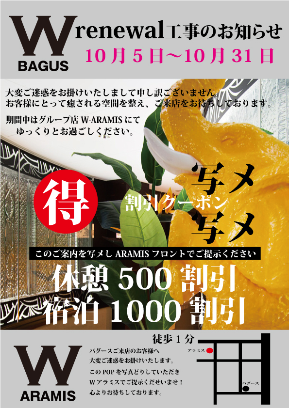 バグース案内改装